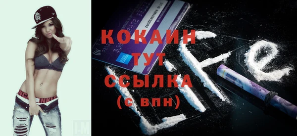 хмурый Гусев