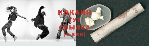 хмурый Гусев