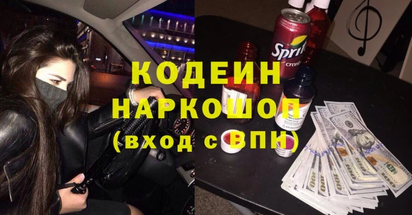 хмурый Гусев