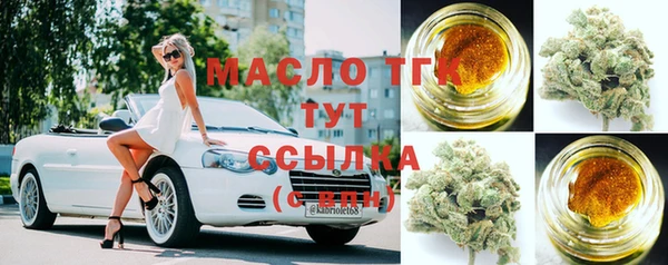 хмурый Гусев