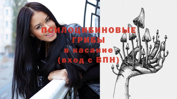хмурый Гусев