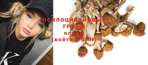 мяу мяу кристалл Гусиноозёрск