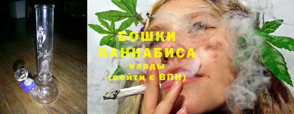 хмурый Гусев