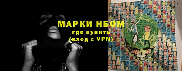 хмурый Гусев